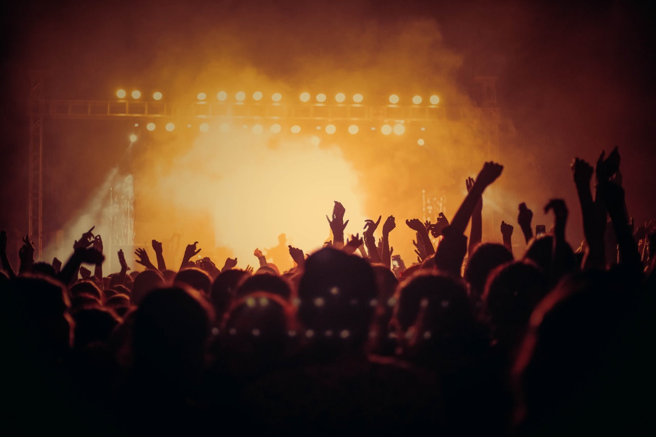 Watch out for these lowkey music festivals in India! TagZ Foods